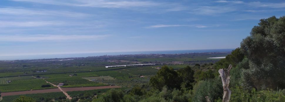 El “parte” del temps: a la tarde algun ruixat de la via cap amunt