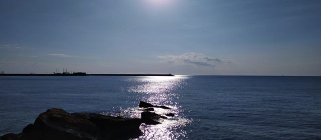 El “parte” del temps: es presenta un capde de sol i sépies