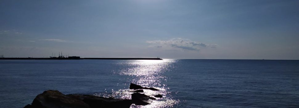 El “parte” del temps: es presenta un capde de sol i sépies