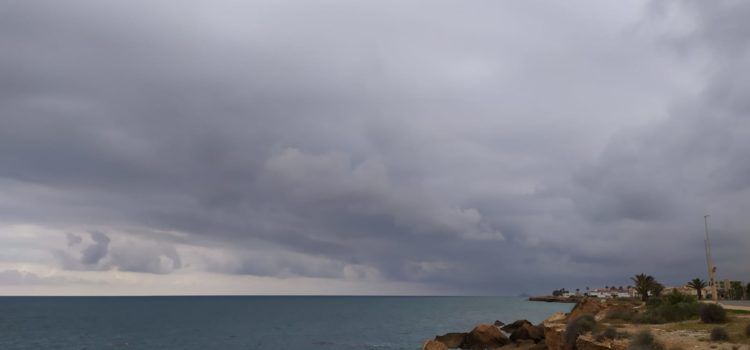 El “parte” del temps: aquesta matinada, fregant lo pal de nit tropical, ja estan aquí
