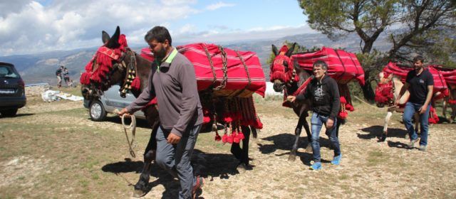 Benassal celebra un Sant Cristòfol multitudinari
