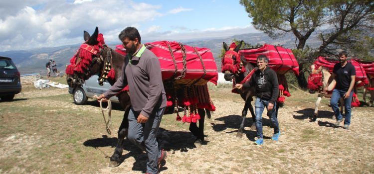 Benassal celebra un Sant Cristòfol multitudinari