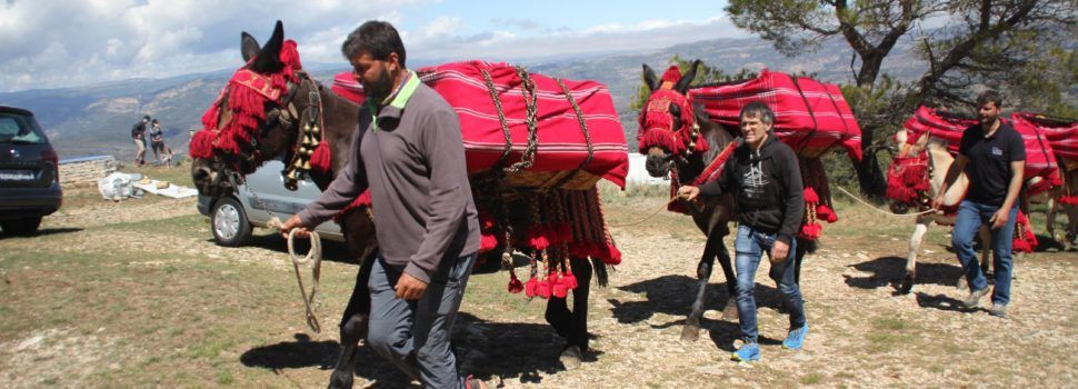 Benassal celebra un Sant Cristòfol multitudinari