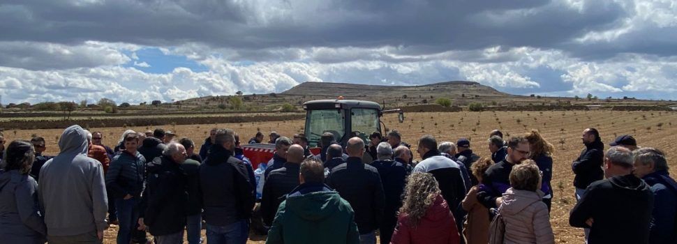 Èxit a la jornada de la tòfona a Vilafranca
