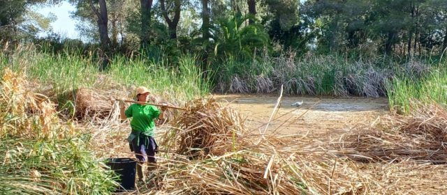 Medi Ambient inicia la neteja de la làmina d’aigua de la Basseta del Bovalar de Benicarló