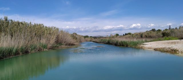 El “parte” del temps: avui, sermó sobre les aurores boreals