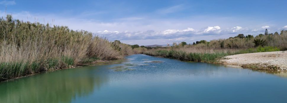El “parte” del temps: avui, sermó sobre les aurores boreals