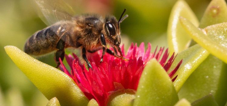 Fotomaestrat, la votació sobre Primavera, guanyada per Albert Gavaldà