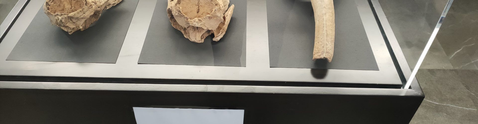La peça del mes, un projecte expositiu al Museu de la Valltorta