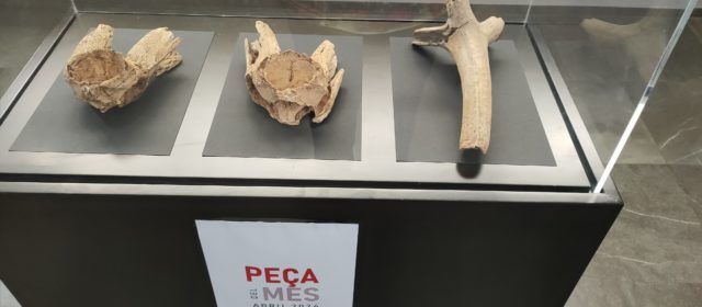 La peça del mes, un projecte expositiu al Museu de la Valltorta