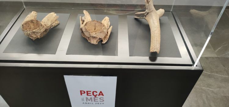 La peça del mes, un projecte expositiu al Museu de la Valltorta