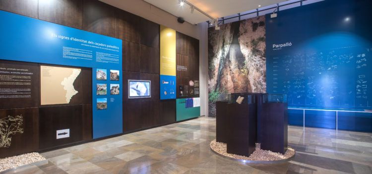 Celebració del dia dels museus al Museu de la Valltorta