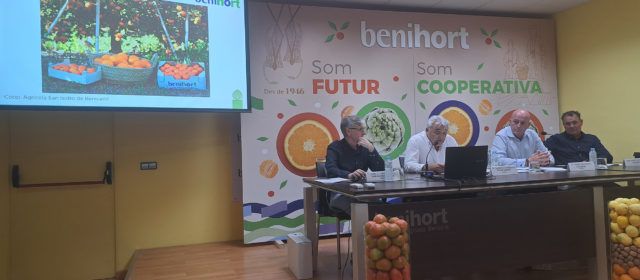 Facturación récord para Benihort con más de 53 millones de euros en 2023