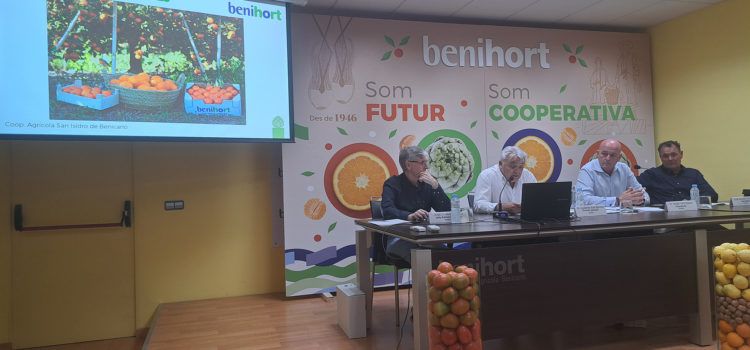 Facturación récord para Benihort con más de 53 millones de euros en 2023