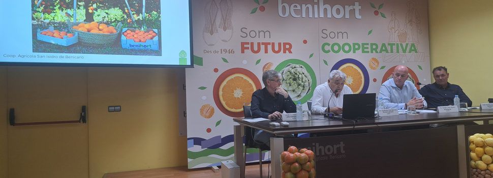 Facturación récord para Benihort con más de 53 millones de euros en 2023
