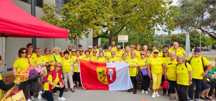 Vinaròs participa en la final dels Jocs Castellonencs Adults Majors