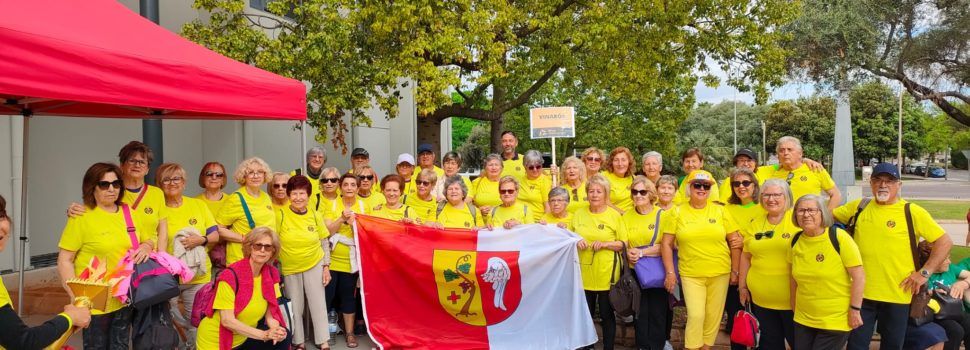 Vinaròs participa en la final dels Jocs Castellonencs Adults Majors