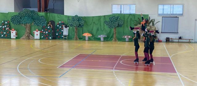 Festival de patinatge artístic al pavelló