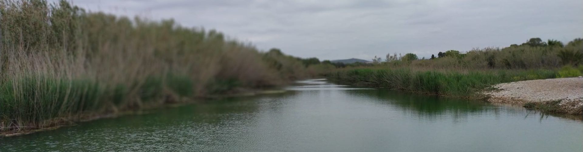 El “parte” del temps: avui toca sermó i va sobre les brises