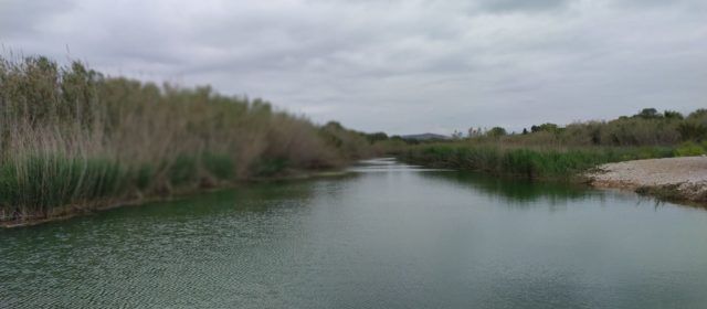 El “parte” del temps: avui toca sermó i va sobre les brises