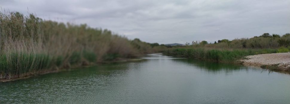 El “parte” del temps: avui toca sermó i va sobre les brises
