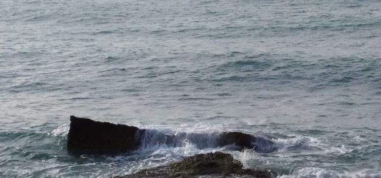 El “parte” del temps: La previsió dona calor fins dissabte