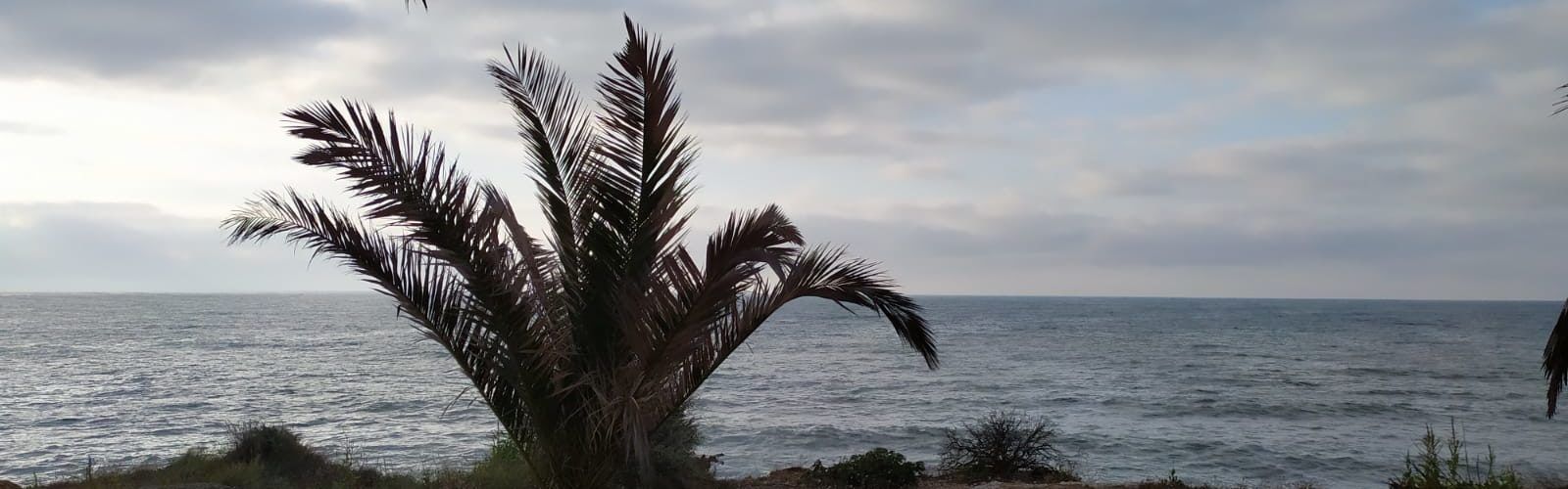 El “parte” del temps: els models GFS donen prou estabilitat
