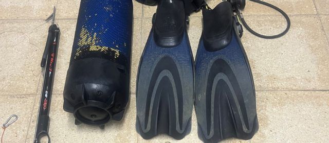 Detenido en Benicarló por pescar dátiles de mar y aprehensión en Peñíscola de 405 cadufos calados ilegalmente