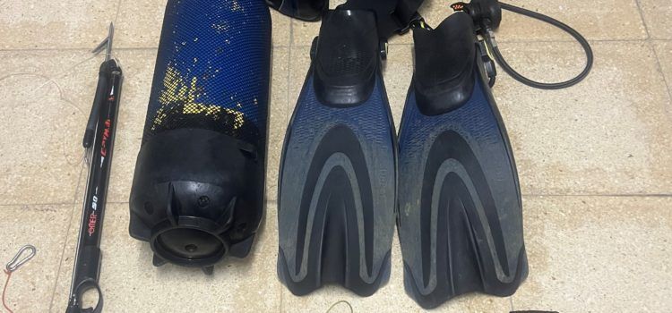 Detenido en Benicarló por pescar dátiles de mar y aprehensión en Peñíscola de 405 cadufos calados ilegalmente