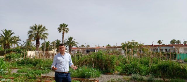Finalitzen els treballs de manteniment i accessibilitat a l’Hort de la Mar
