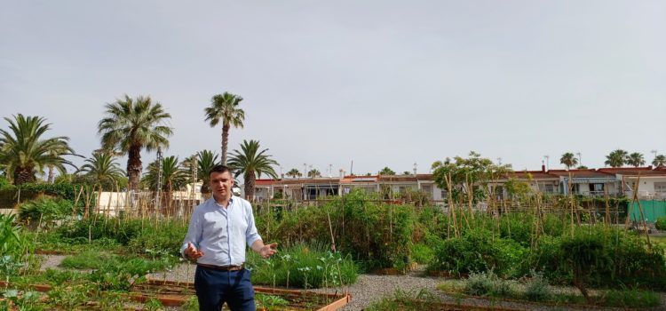 Finalitzen els treballs de manteniment i accessibilitat a l’Hort de la Mar