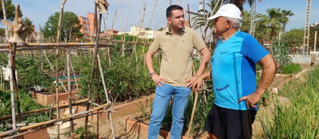 Treballs de manteniment i millora de l’accessibilitat a l’Hort de la Mar de Benicarló