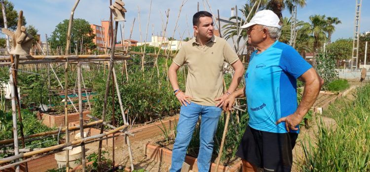 Treballs de manteniment i millora de l’accessibilitat a l’Hort de la Mar de Benicarló