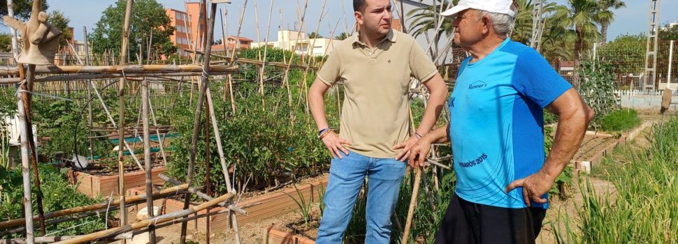 Treballs de manteniment i millora de l’accessibilitat a l’Hort de la Mar de Benicarló