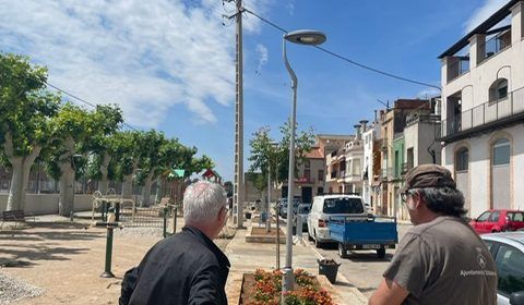 L’Ajuntament d’Ulldecona millora la zona enjardinada del Passeig de l’Estació amb la plantació de 22 arbres nous