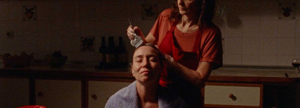 Els paisatges i l’aigua articulen la programació de mónFILMAT 2024