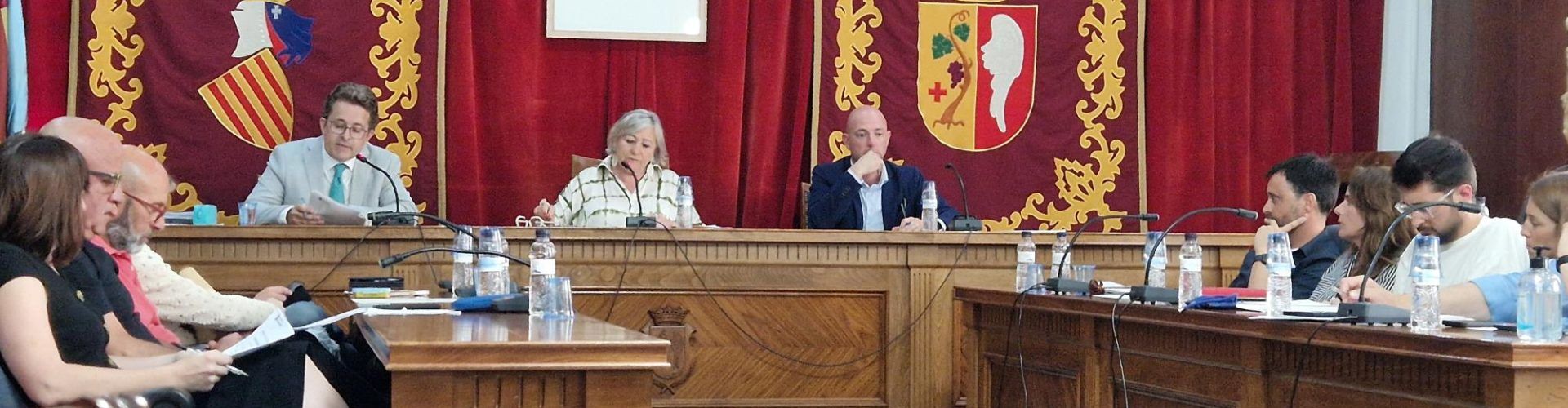 Ordre del dia del plenari de juliol