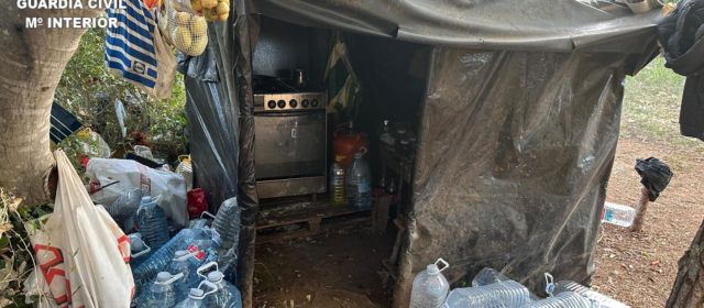 La Guardia Civil desmantela un punto de cultivo marihuana en Alcalá de Xivert