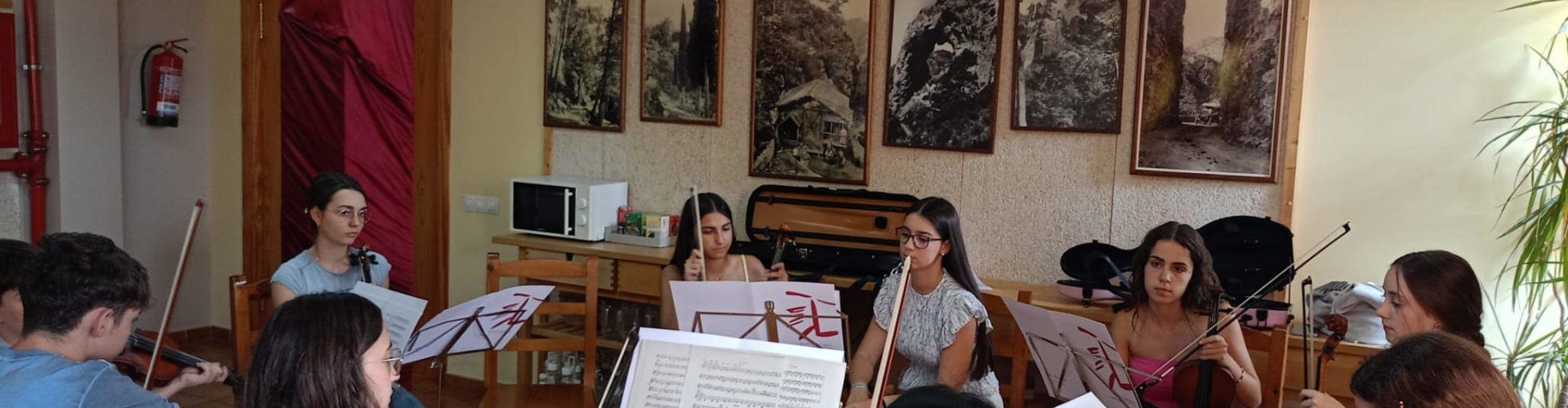 La Jove Orquestra Simfònica de la Diputació de Tarragona actua a La Sénia