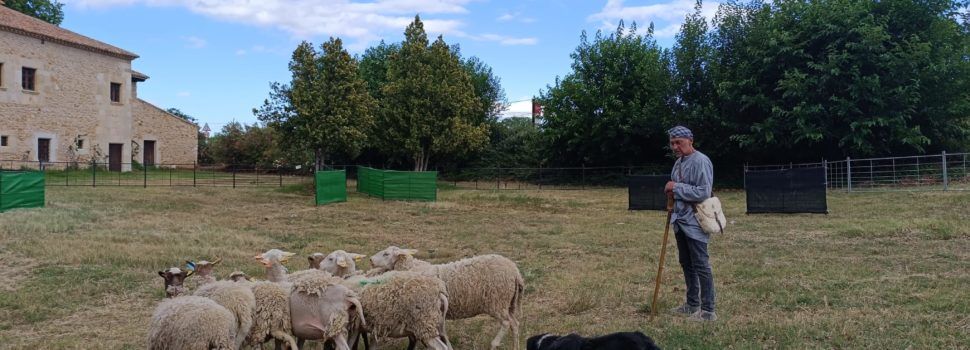 La multitudinària Fira de Sant Pere d’Albocàsser posa en valor la producció artesana i el sector “primer”