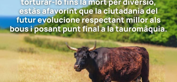 Comunicat d’entitats de Vinaròs contra la novillada amb picadors de dissabte