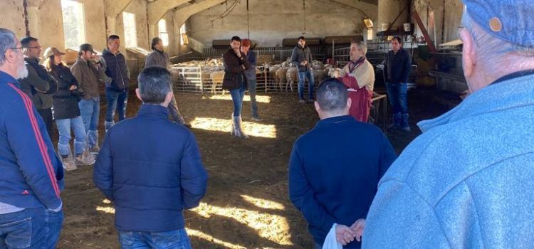 PP Morella lamenta que els ramaders de Morella hagen de pagar més de 71.000 euros a l’agost per a finançar un pou