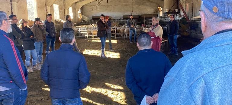 PP Morella lamenta que els ramaders de Morella hagen de pagar més de 71.000 euros a l’agost per a finançar un pou