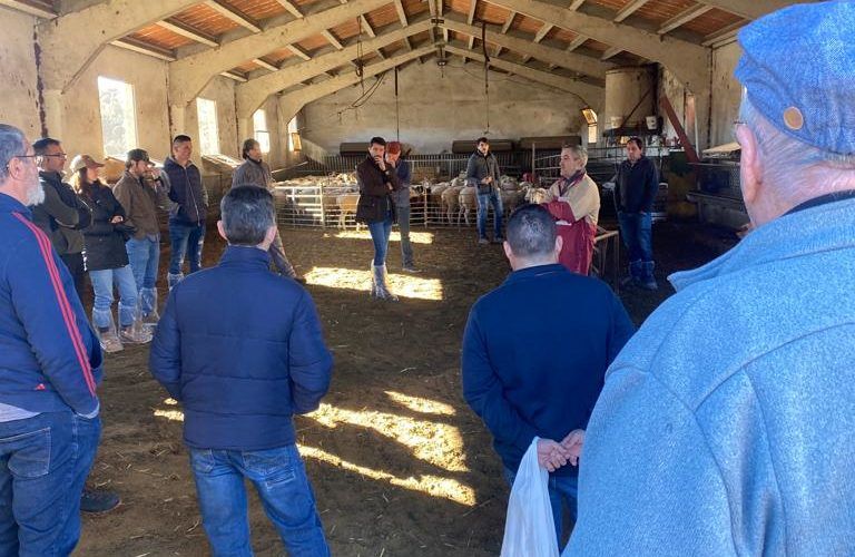 PP Morella lamenta que els ramaders de Morella hagen de pagar més de 71.000 euros a l’agost per a finançar un pou