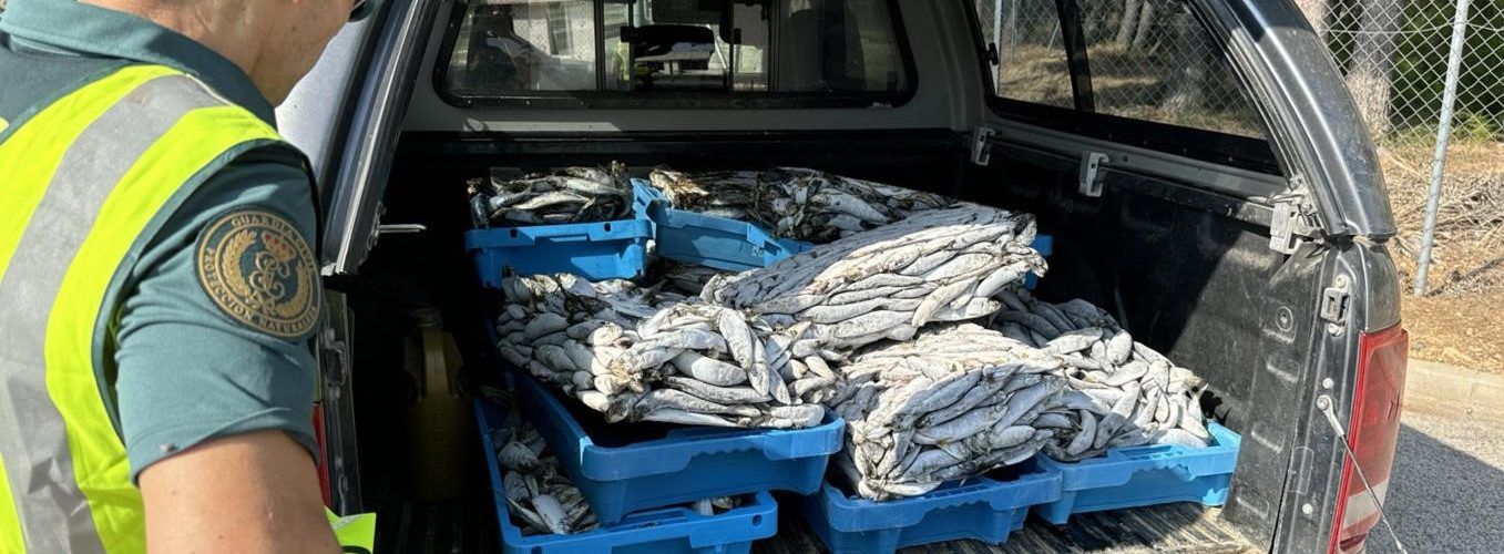 La Guardia Civil incauta pescado en inspecciones en La Ràpita i L’Ametlla de Mar
