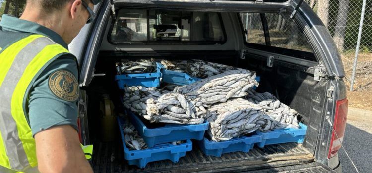 La Guardia Civil incauta pescado en inspecciones en La Ràpita i L’Ametlla de Mar