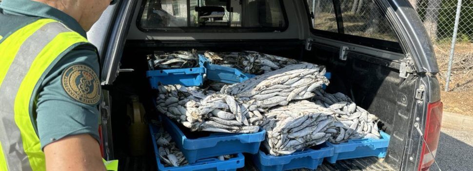 La Guardia Civil incauta pescado en inspecciones en La Ràpita i L’Ametlla de Mar