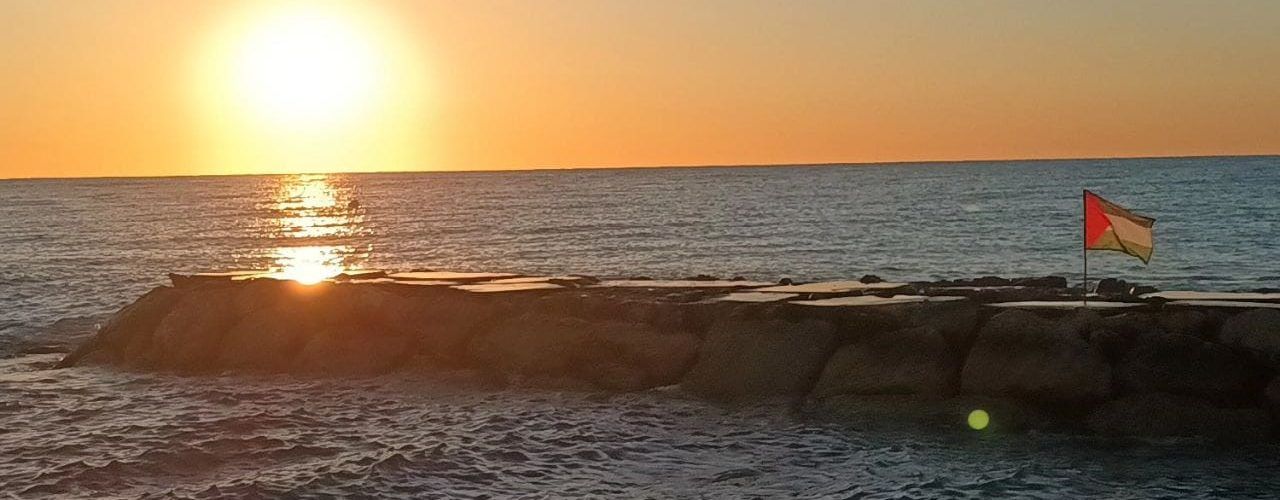 El Grup de suport a Palestina de Vinaròs critica la retirada de banderes palestines col·locades a la platja