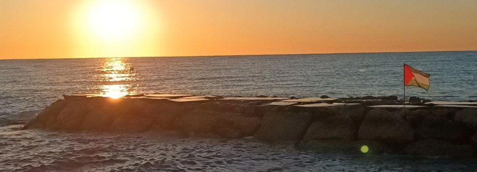 El Grup de suport a Palestina de Vinaròs critica la retirada de banderes palestines col·locades a la platja