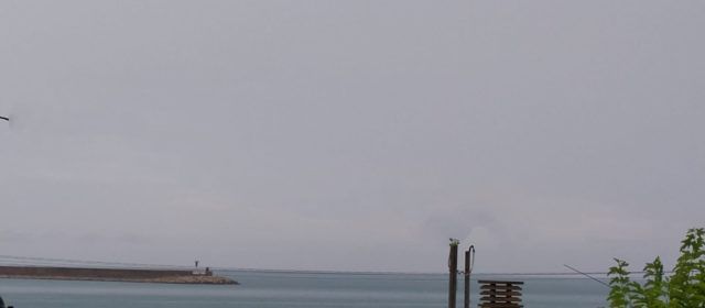 El “parte” del temps: aigua a les nostres patates!!